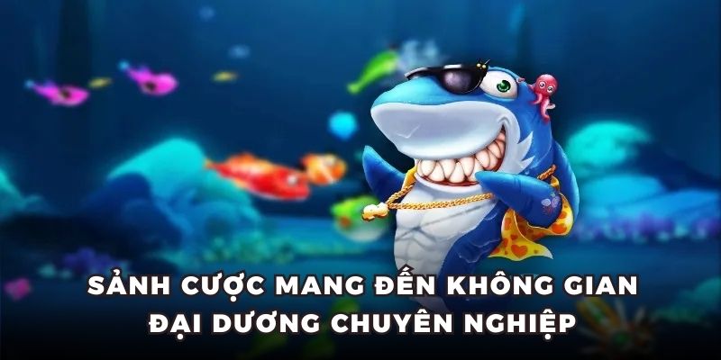 Sảnh cược mang đến không gian địa dương chuyên nghiệp